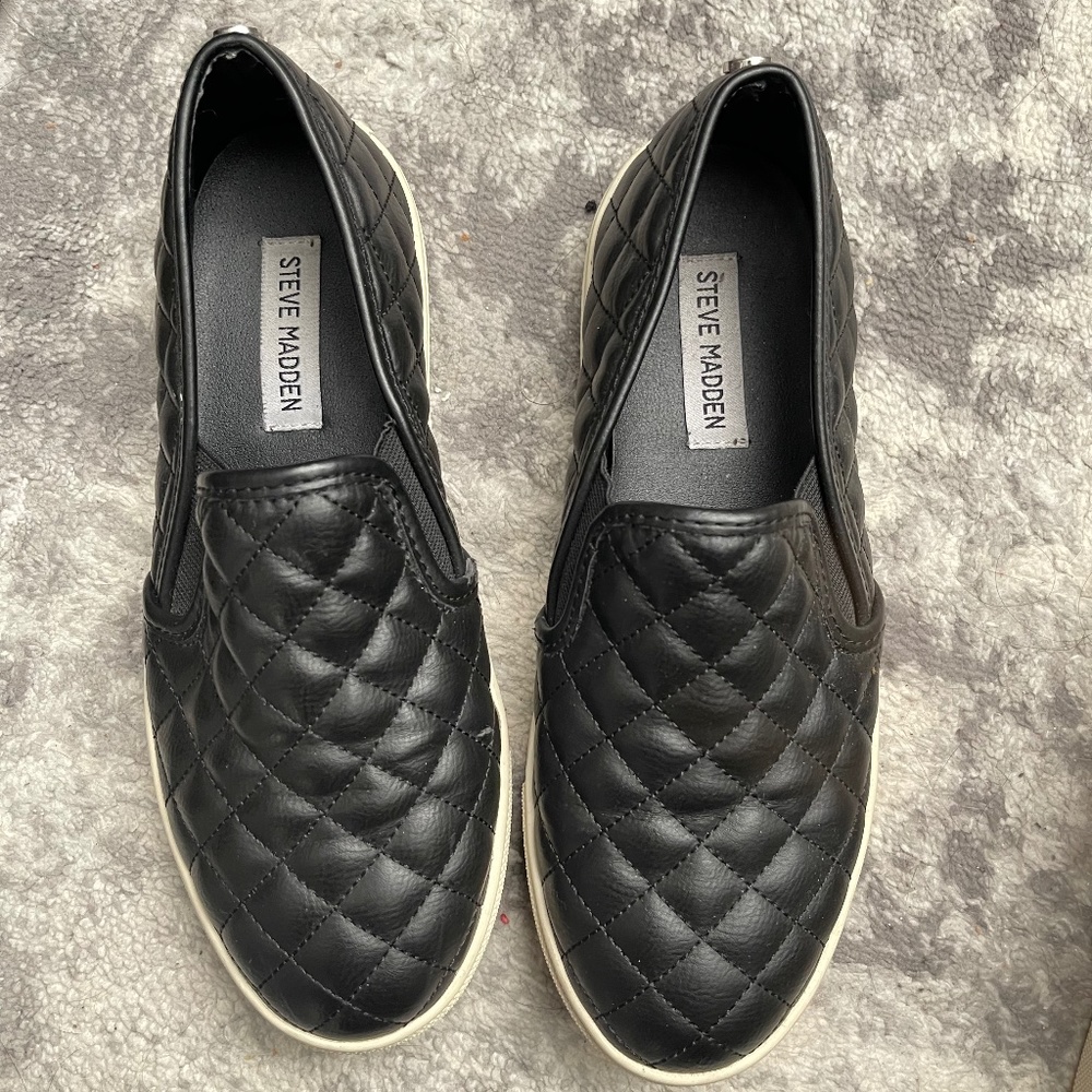 Steve Madden ECENTRCQ